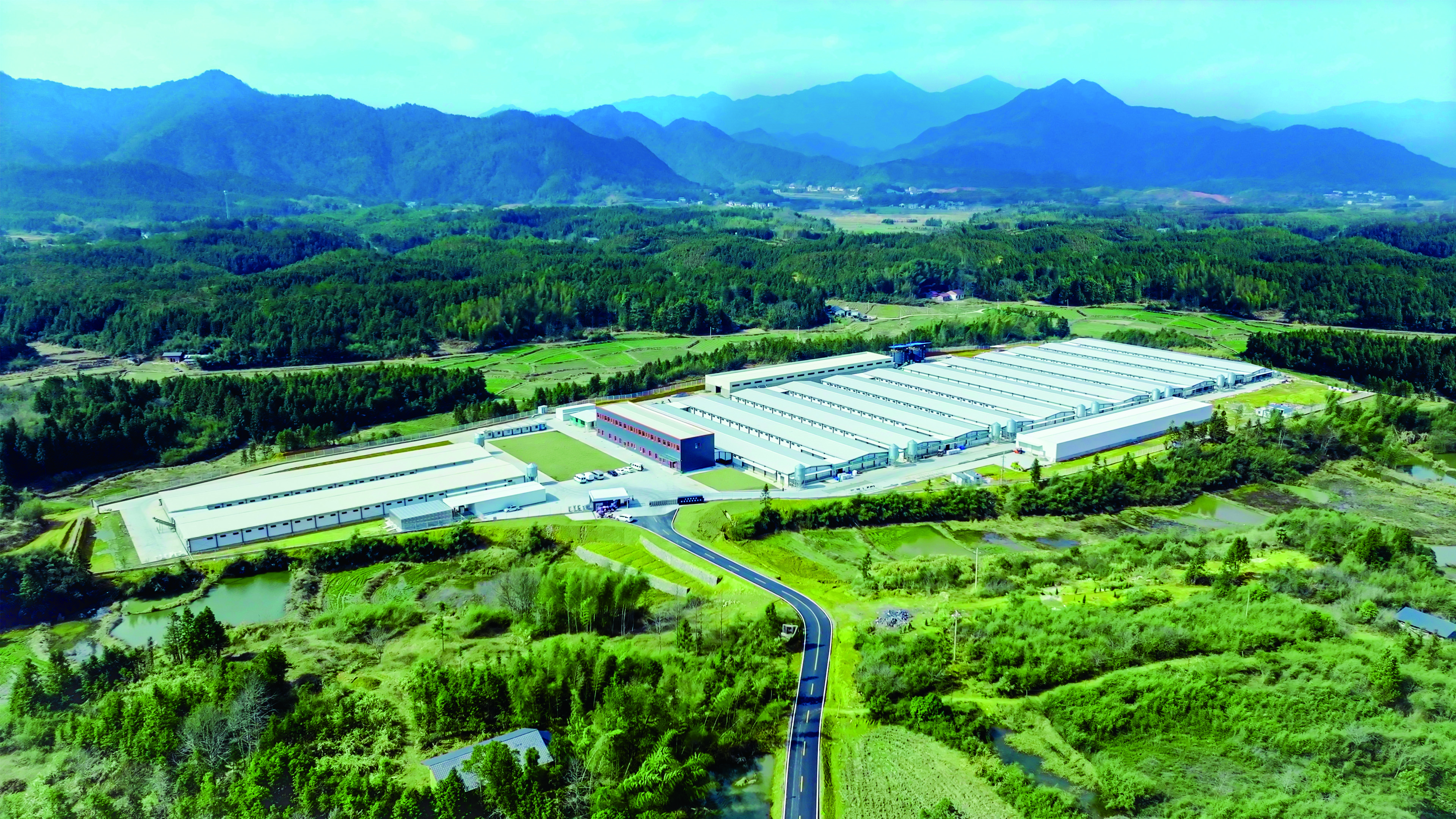 新春家書｜根深則葉茂，心定則路遠